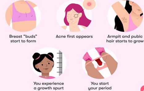 A Guide to Female Puberty: Navigating the Changes and Challenges