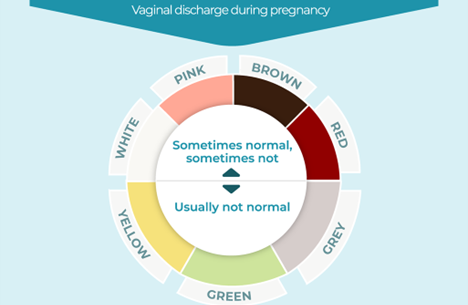 Pregnancy Discharge 101: What’s Normal and What’s Not