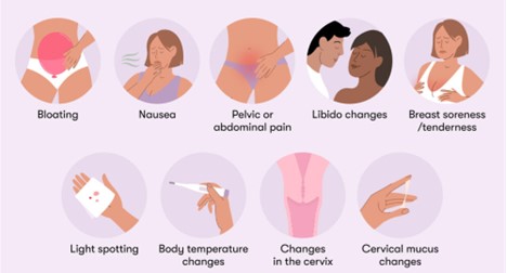 Top Signs that Indicate Your Body is Ovulating