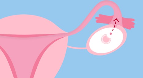 Coping with Ovulation: Tips for Managing Mood Swings and Discomfort